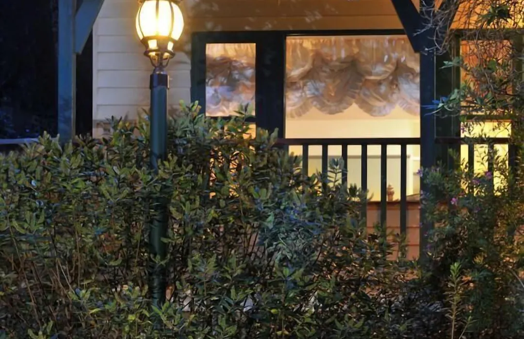 Belgrave Bed And Breakfast-1